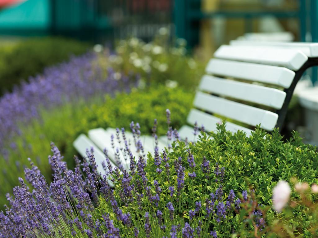 A-Rosa Ostseehotel Ostseebad Kühlungsborn מראה חיצוני תמונה